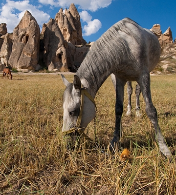 ALTERNATIVE ACTIVITIES IN CAPPADOCIA (HORSE RIDING ATV CYCLING JEEP SAFARI)