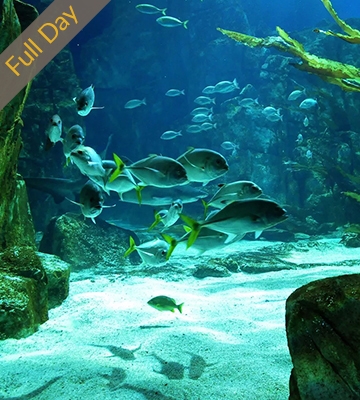 ISTANBUL AQUARIUM AND AQUA FLORYA SHOPPING MALL TOUR