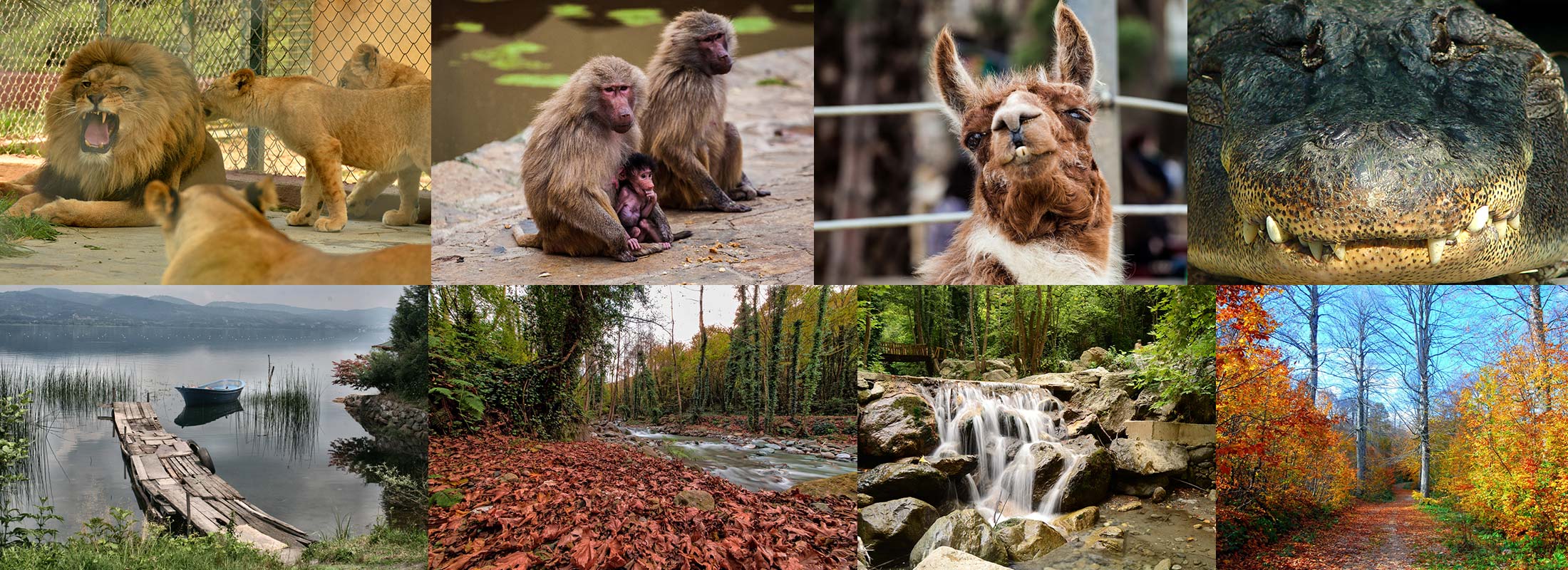 daily-sapanca-lake-masukiye-waterfall-darica-zoo-from-istanbul